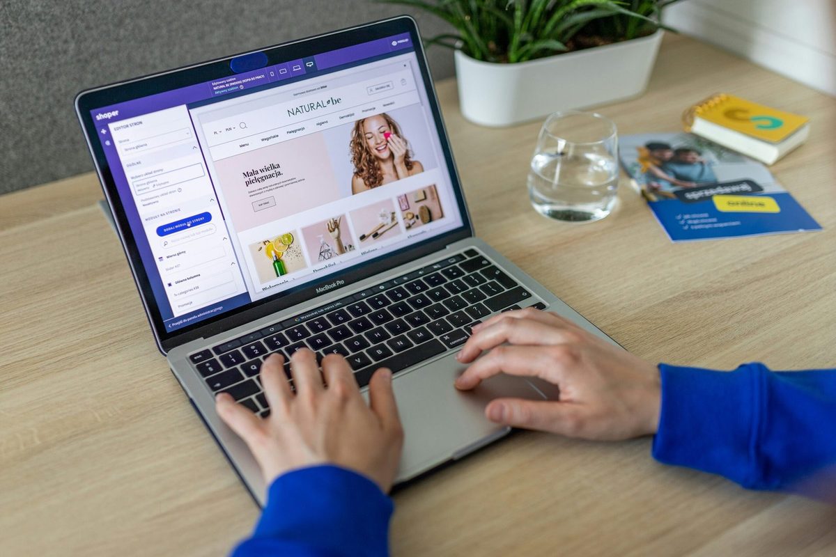 Sector ecommerce